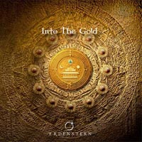 Into the Gold Cover