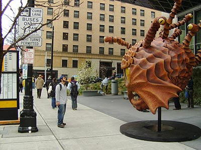 Seattle beholder
