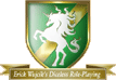 Erick Wujcikâ€™s Diceless Role-Playing Logo