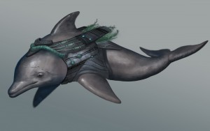 Dolphin by Matthew Cowdery