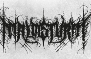 malmsturm logo